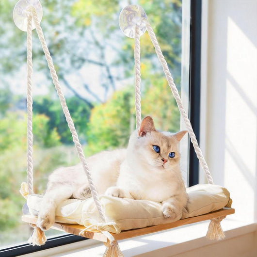 Motion Activated Hanging Cat Toy for Indoor Cats